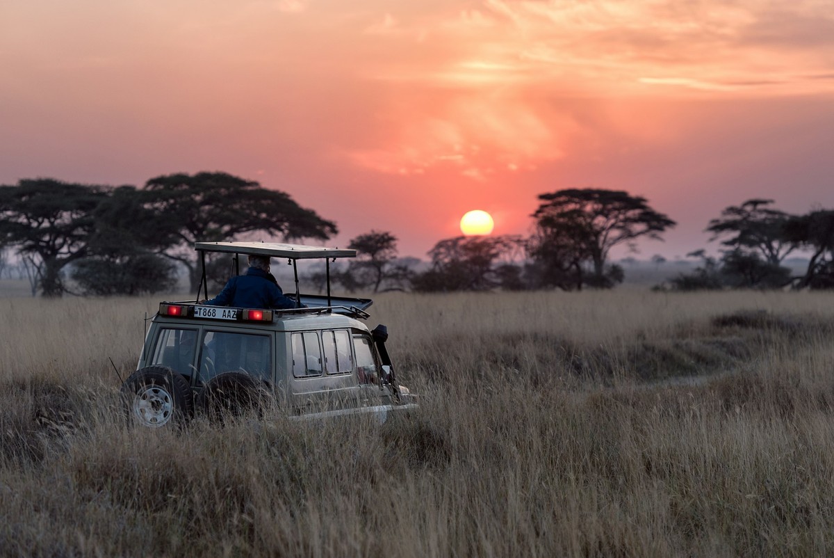 African Safari Expedition
